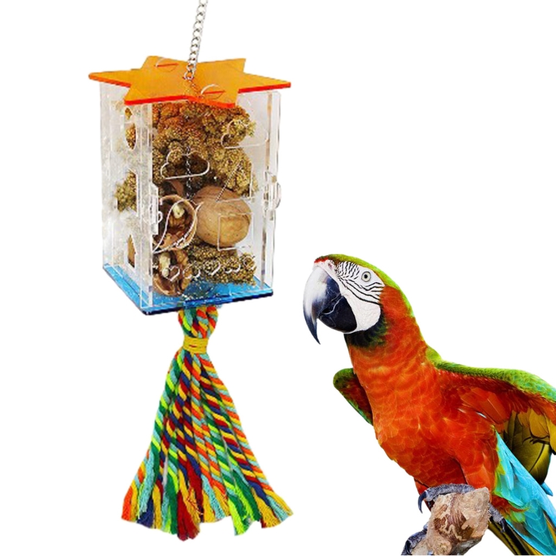 Bird Foraging Toys Parrot Feeder Intelligence Cage Acrylic Food Box Swing Rope Toys Millet Container for Cockatiel Conure