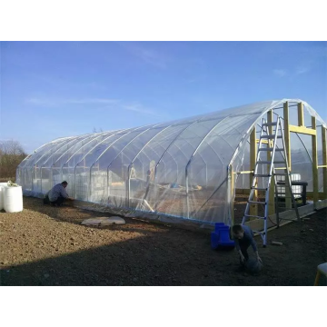 Multi Span resistance type plastic tunnel greenhouse