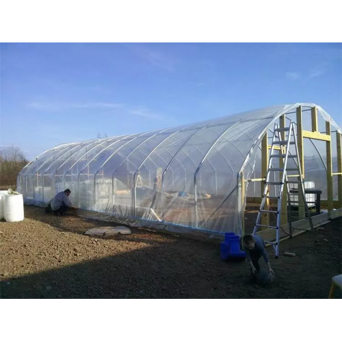 Material Frame single-span arch tunnel greenhouse Manufacturers and Material Frame single-span arch tunnel greenhouse Suppliers