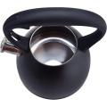 Stainless Steel Tea Kettle With Black Coating
