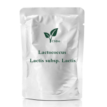 Probiotics Powder of Lactococcus Lactis subsp. Lactis