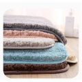 High Quality Water Absorbent Floor Carpet Non Slip Bath Mat Simple Doormat Bathroom Bedroom Rugs Toilet Foot Mats Soft Plush Pad