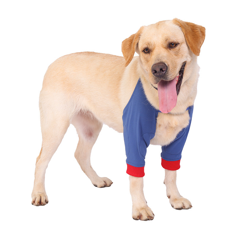 Dog Knee Braces