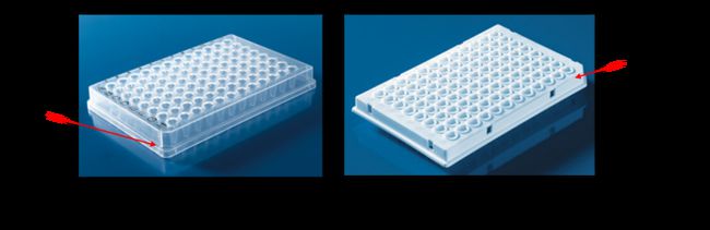 PCR plate