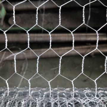 High Quality Hexagonal Galvanized Chicken Wire Mesh