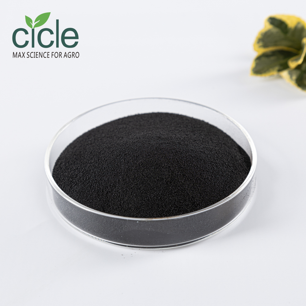 Seaweed Extract
