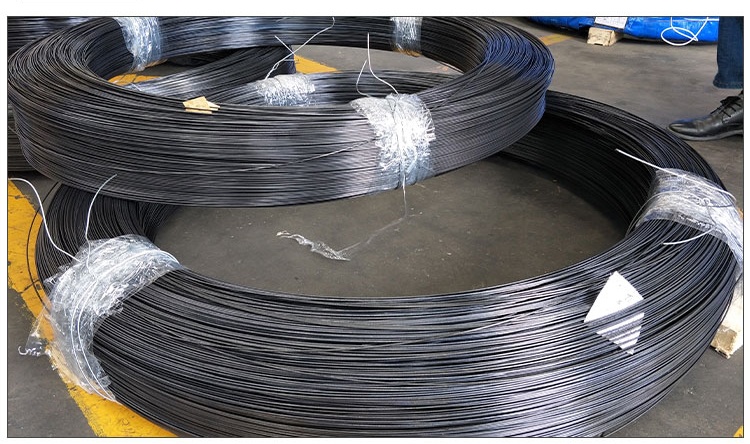 Spring Steel Wire 5