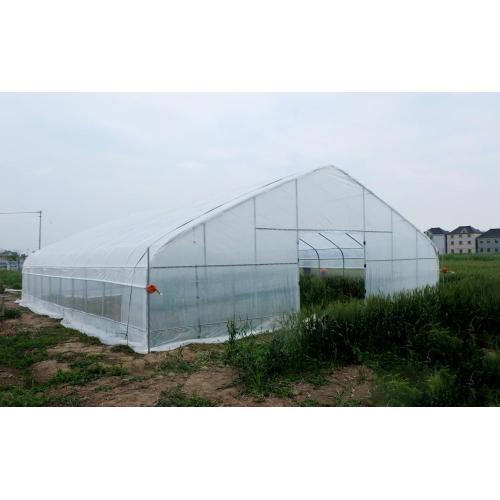 Film Single span greenhouse for vegetables Manufacturers and Film Single span greenhouse for vegetables Suppliers