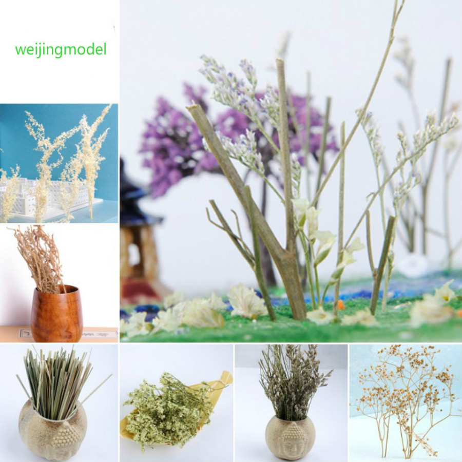 50g/lot Scene Model Tree Production Natural Quinoa Free Shipping For Architecture Model Grass Design