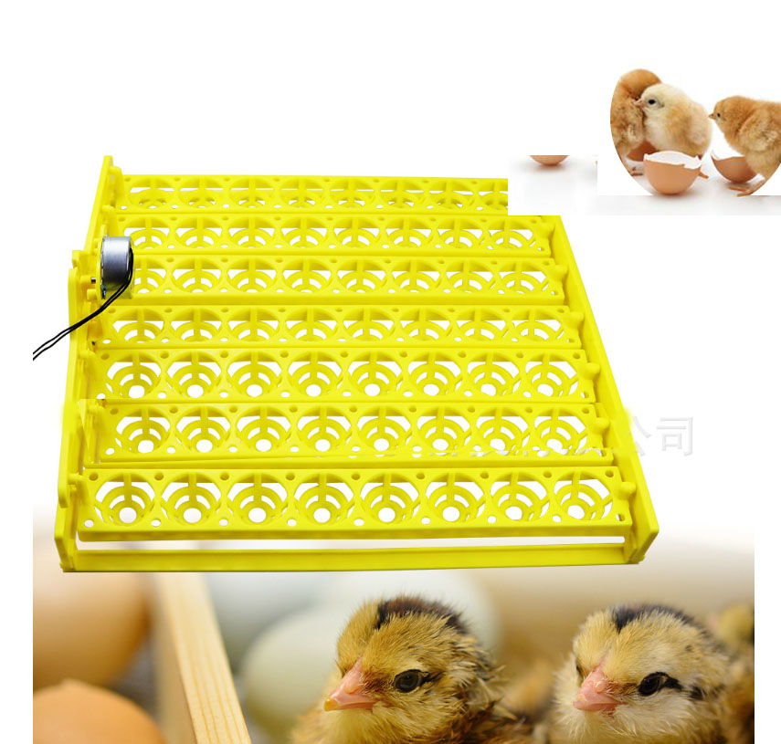 56 Egg Incubator mini Hatchery Turn Tray Chicken Incubation Tool Poultry Egg Incubator Automatic Egg Hatcher incubation equipmen
