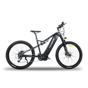 Mountain Ebikes Foldable With Shock Absorption