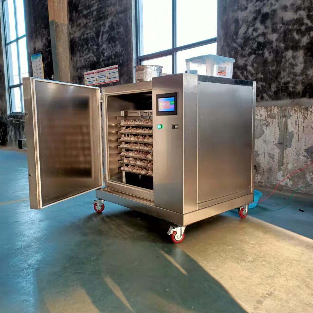 Black Garlic Machine