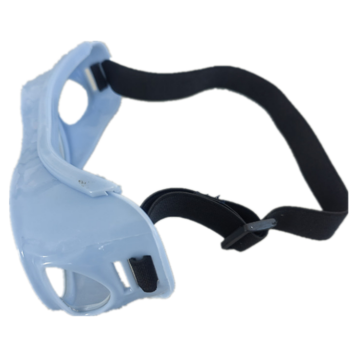 x-ray lead glasses