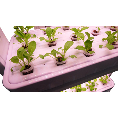 Bluetooth Control Vertical Grow Lighting Hydroponic Systems Manufacturers and Bluetooth Control Vertical Grow Lighting Hydroponic Systems Suppliers