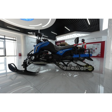 Utility snowmobile for sale