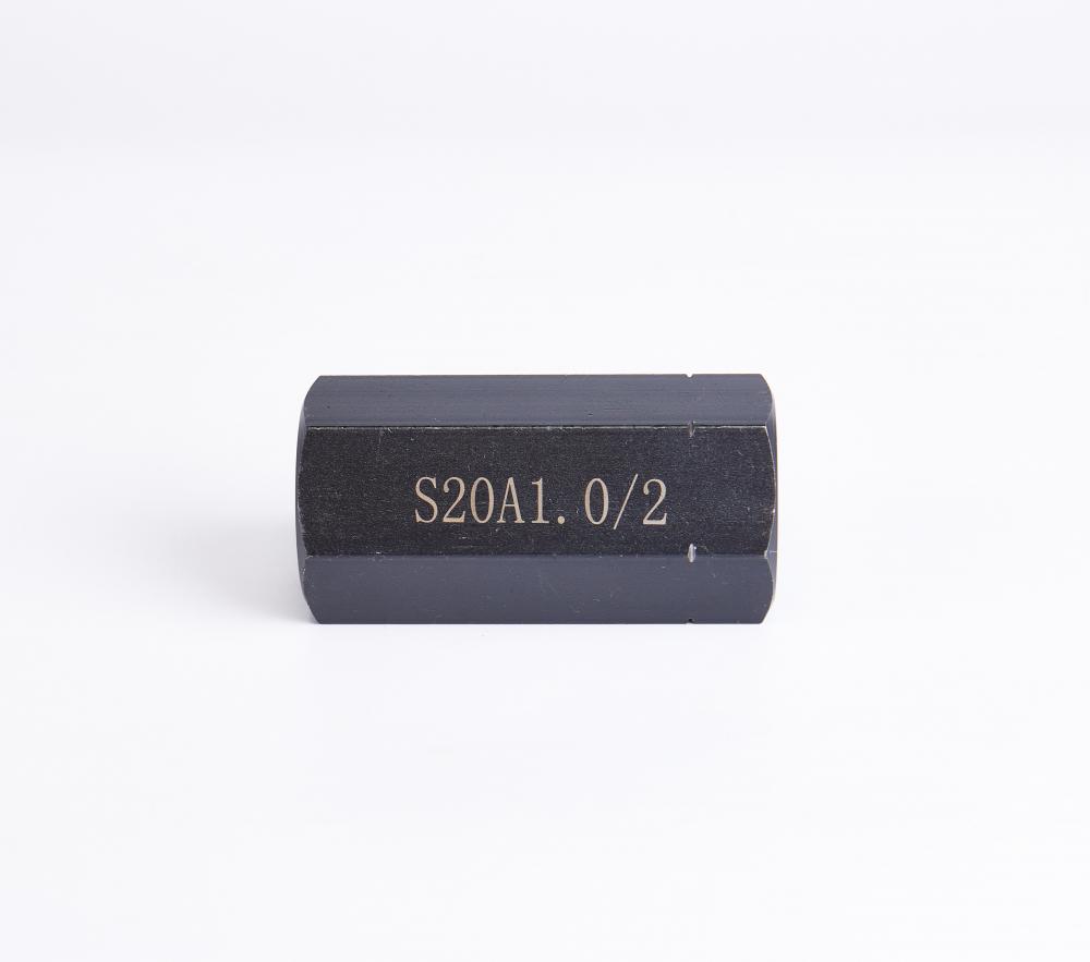 S20a Check Valve 1