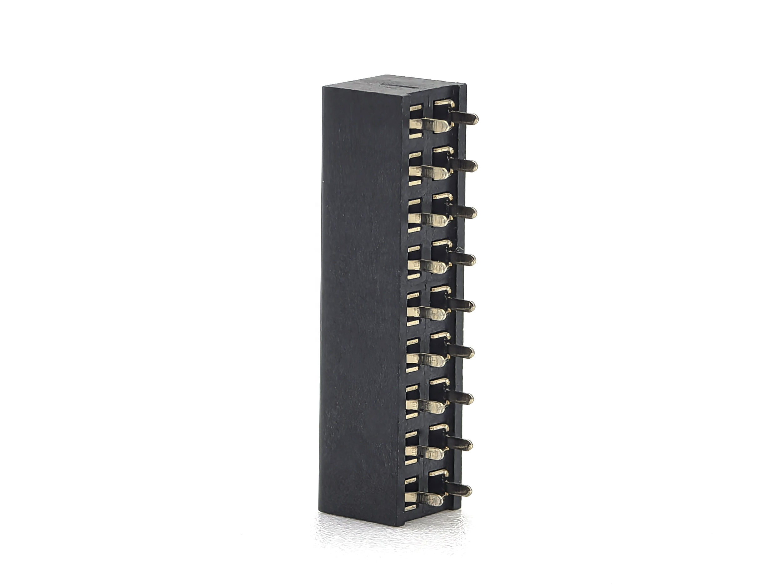 Main-02