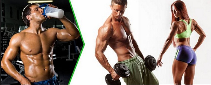 Sports Nutrition Supplements Sports Nutrition Supplements