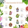 12pcs Kits Pure Natural Essential Oils Gift Set Eucalyptus Lavender Mint Lemon Bergamot Tea Tree Purify Air Diffuser Aroma Oil