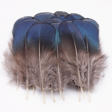 100pcs 7-9cm Pheasant Feather Turkey Feather Chicken Feather costumes dance party wedding hat Decorative materials YM-3
