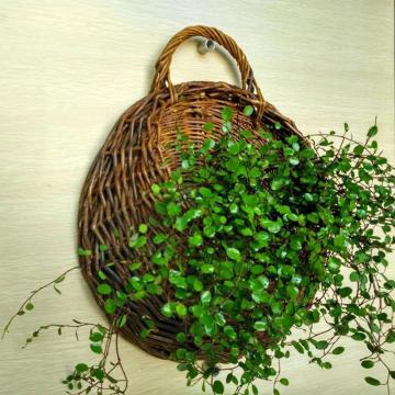 Wicker Rattan Flower Basket Hanging Vine Pot Planter Hanging Vase Container Wall Plant Basket For Garden