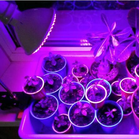Full Spectrum E27 220V LED Plant Grow Light seedling Tent Box garden Seeds Flower Greenhouse Veg Professional Light