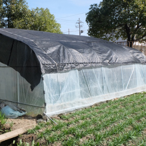 Agricultural film Tunnel Plastic greenhouse for lettuces