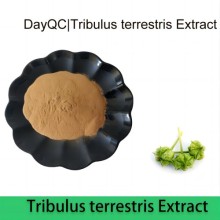 natural organic tribulus terrestris extract saponin 40%