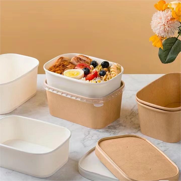 Paper lid bento lunch box