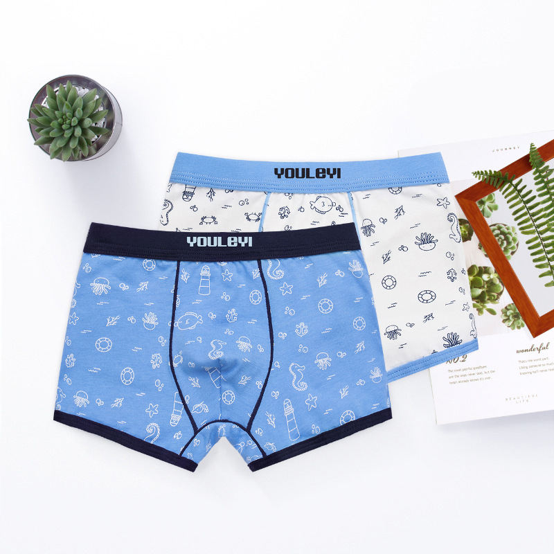 2019 boys cotton boxer briefs children's underwear little big boy boys boxer briefs baby underwear 2pcs