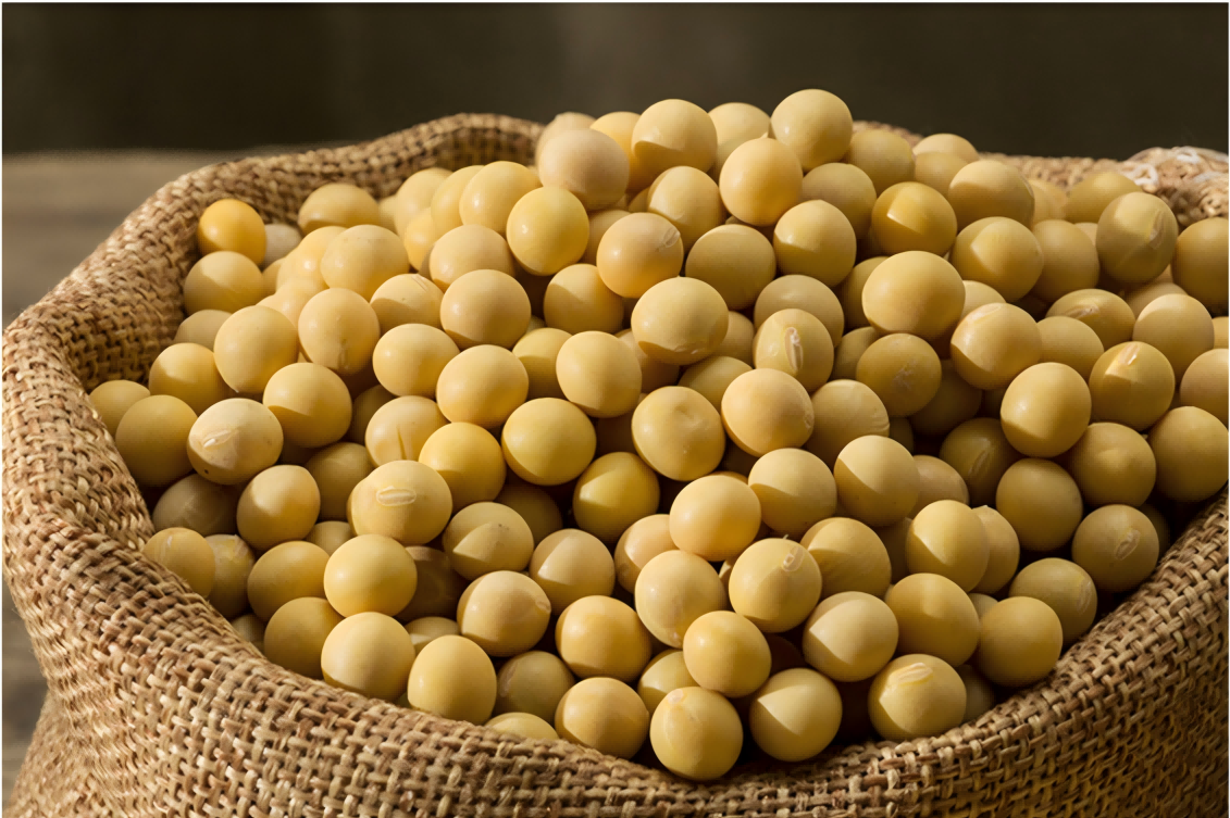 soybeans(1)
