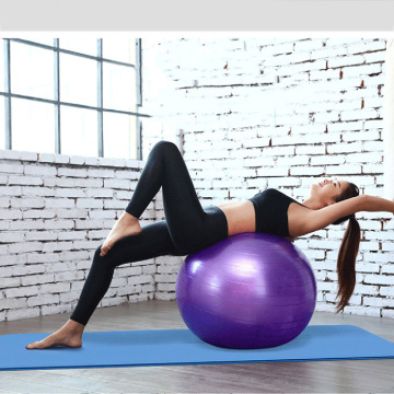 Sports Yoga Balls Pilates Fitness Ball Gym Balance Fit Ball Exercise Pilates Workout Massage Ball with Pump