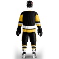 Cool Hockey free shipping Pittsburgh Penguin fans Training wear ice hockey jersey s in stock customized cheap high quality