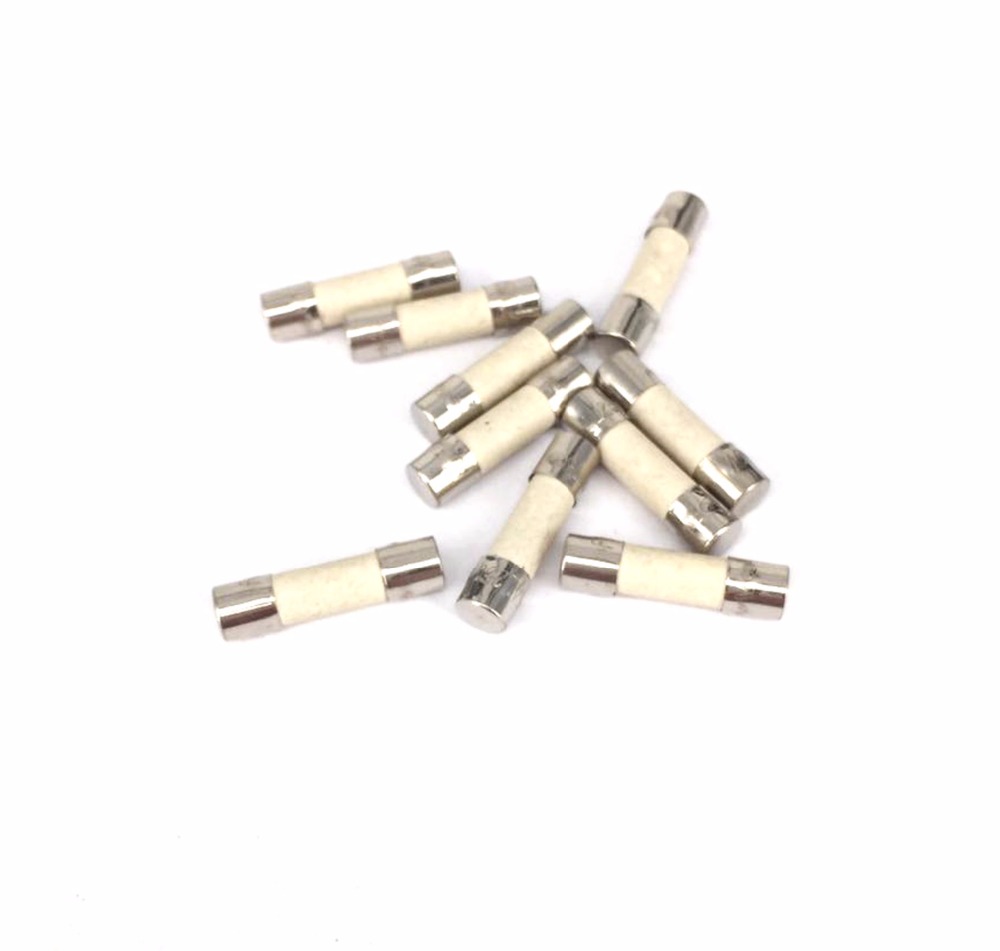 O/DxLength 5x20mm/6x30mm 160mA 200mA 1A 5A 10A 15A 20A 250V Fast/Slow Blow Ceramic Tube Fuses Electron Component Microwave Oven