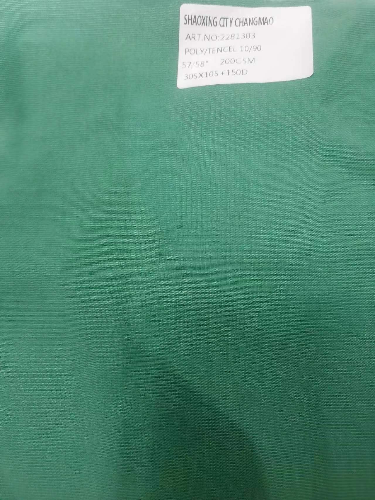 Polyester tencel sandwashed fabric