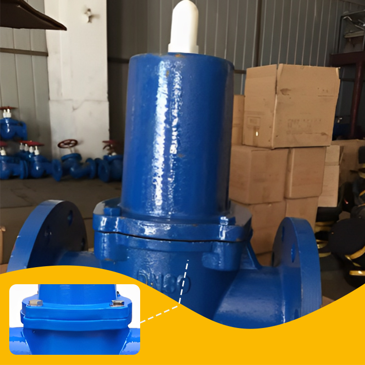 Vacuum Regulator Valve