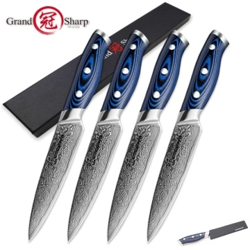Steak Knife Set 4 pcs Damascus Kitchen Knives vg10 Japanese Damascus Steel Utility Knives 67 Layers Best Family Christmas Gift