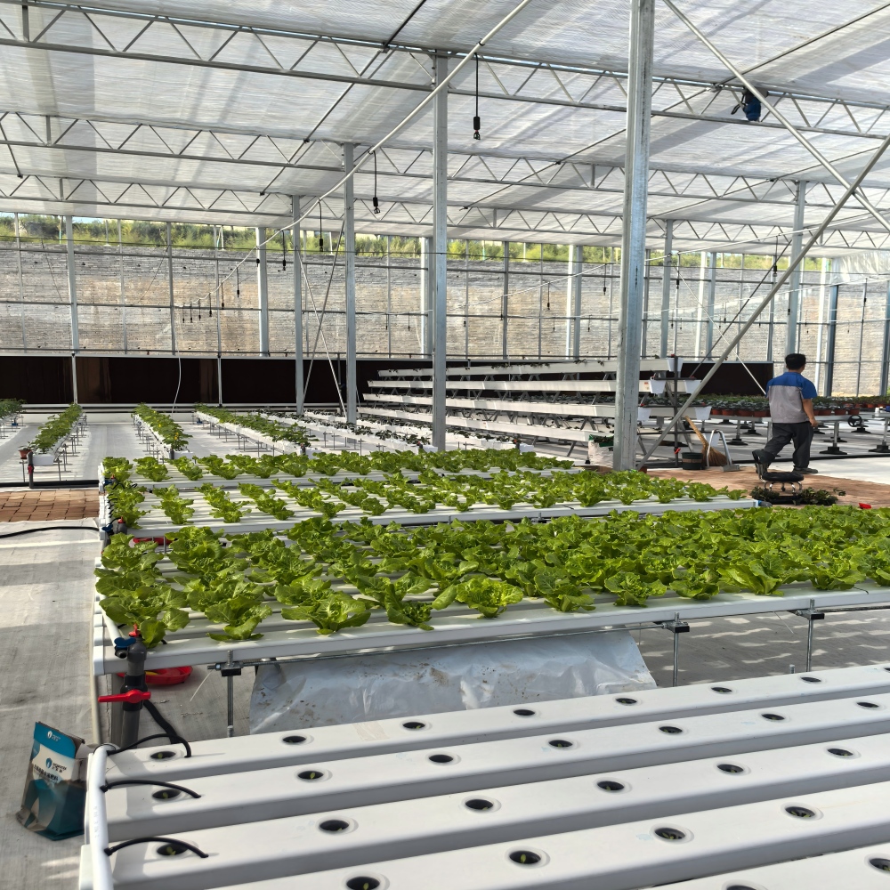Glass Greenhouse-11