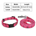 Pink Collar Leash