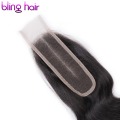 Bling Hair 2*6 Brazilian Body Wave Closure With Baby Hair Middle Part 100% Remy Human Hair Closure Swiss Lace Natural Color