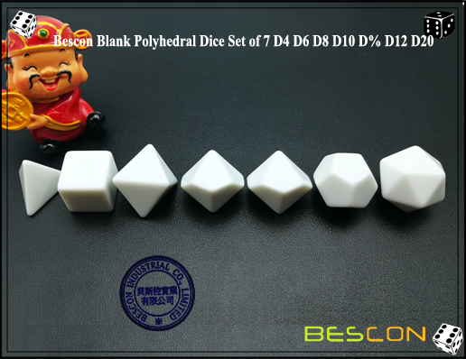 Blank Polyhedral Dice (2)