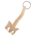 Miniature Human Spine Skeleton Model Keychain School Learning Tool