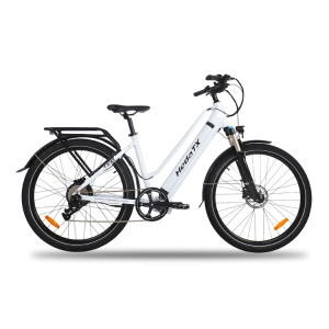 Elegant electric city bike