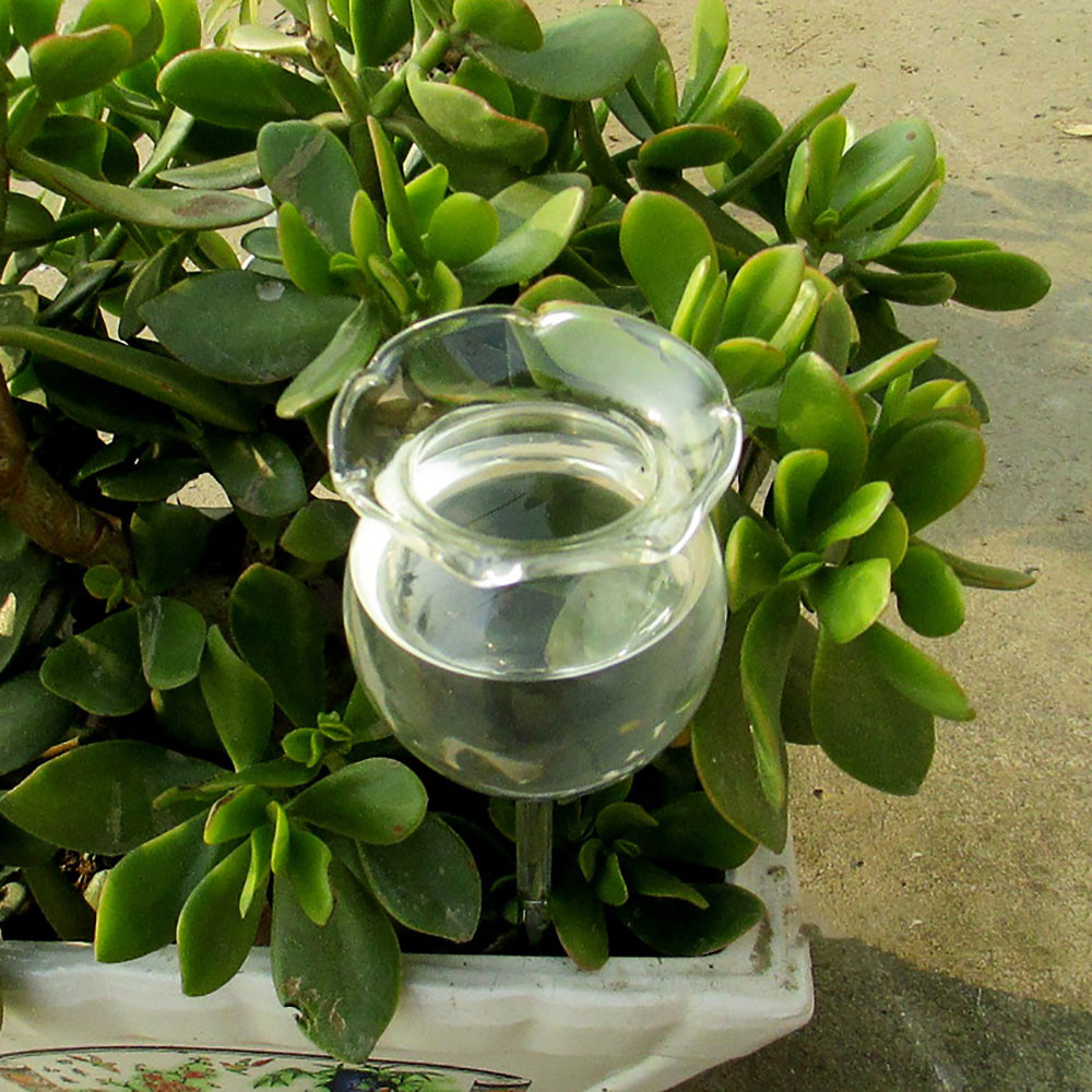 Flower Shape Indoor Automatic Flower GlassGarden Plant Watering Device Sprinkler Garden Tools L*5