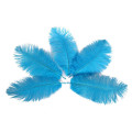 10pcs/lot 15-70CM Lake Blue ostrich feather costume wedding decoration feathers supplies Carnival dancer feathers for crafts
