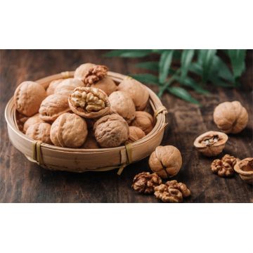 2021 raw walnut Xiner