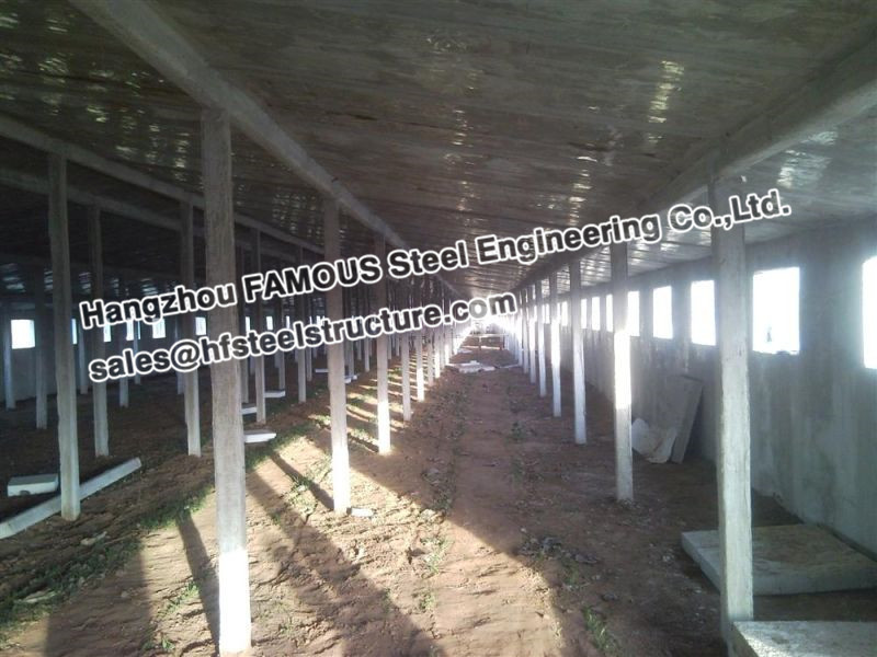 Steel Structural Cow Shed