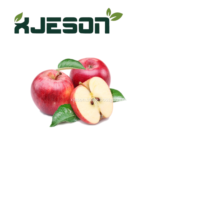 Apple Fruit Extract