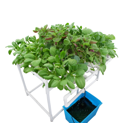 Garden Grow Kit Table Indoor Grow hydroponic system Manufacturers and Garden Grow Kit Table Indoor Grow hydroponic system Suppliers