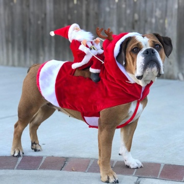 Christmas Pet Dog Clothes Santa Dog Costumes Funny Pet Outfit Riding Holiday Party Dressing Up Clothing